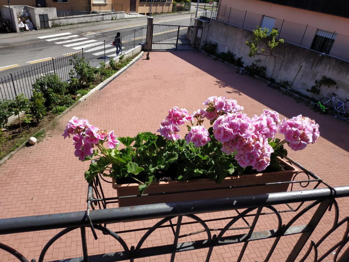 Casa Marina Apartamento Verbania Exterior foto